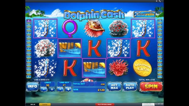 Игровой интерфейс Dolphin Cash 10